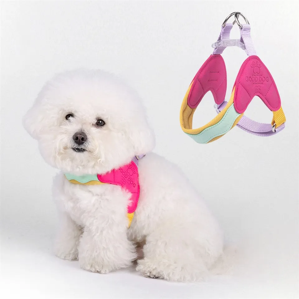 Puppytuigjes voor kleine honden